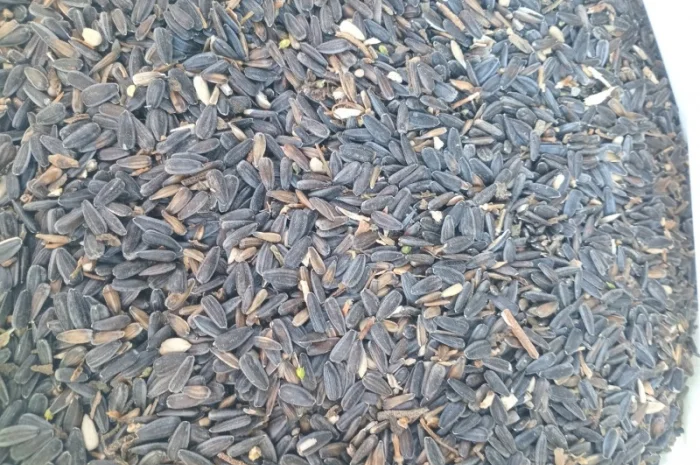 Купимо відходи соняшника- фото № 2