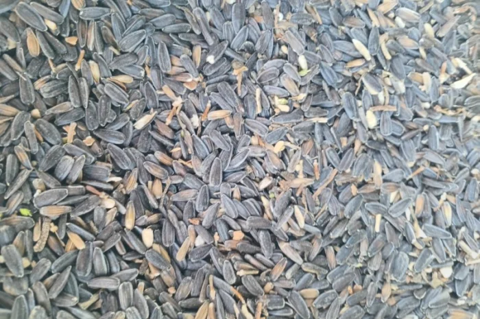 Купимо відходи соняшника- фото № 3