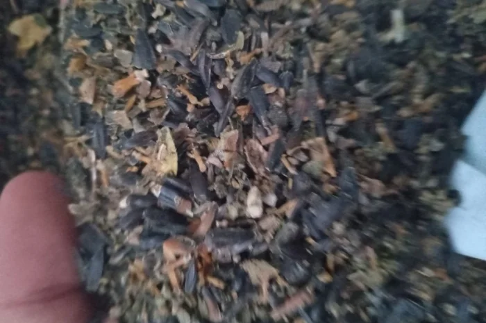 Купимо відходи соняшника- фото № 5