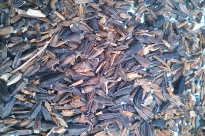 Купимо відходи соняшника- фото № 8