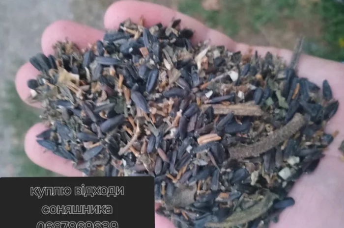 Підприємство купить ділові відходи соняшника- фото № 2