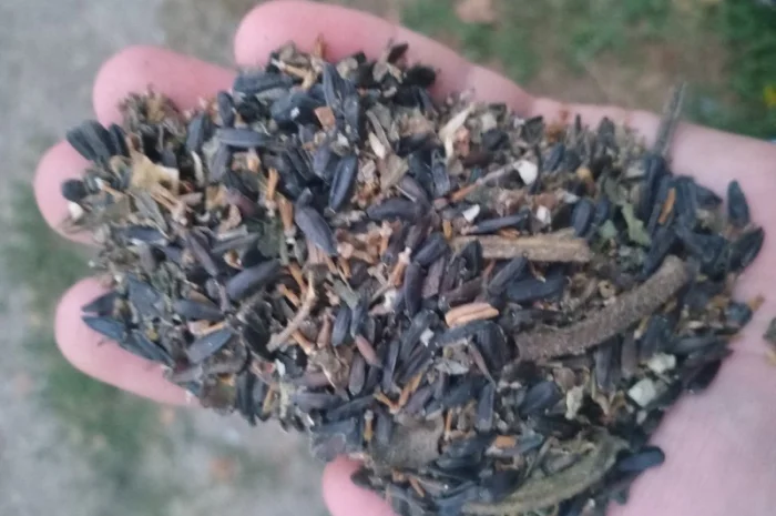 Підприємство купить ділові відходи соняшника- фото № 3