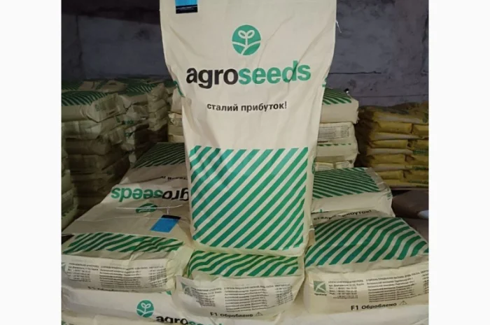 Насіння соняшнику Фуріус КЛП (Євролайтинг+)- фото № 1