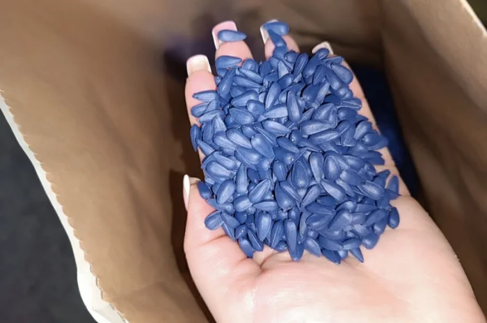 Насіння соняшнику Фуріус КЛП (Євролайтинг+)- фото № 2