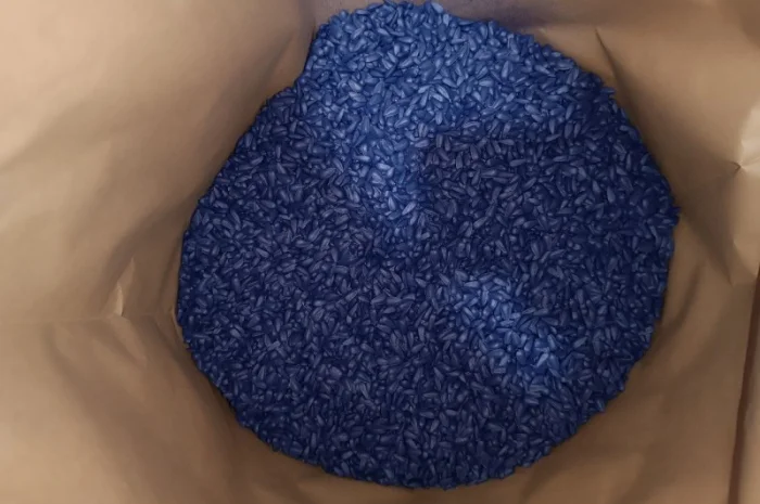 Насіння соняшнику Фуріус КЛП (Євролайтинг+)- фото № 3