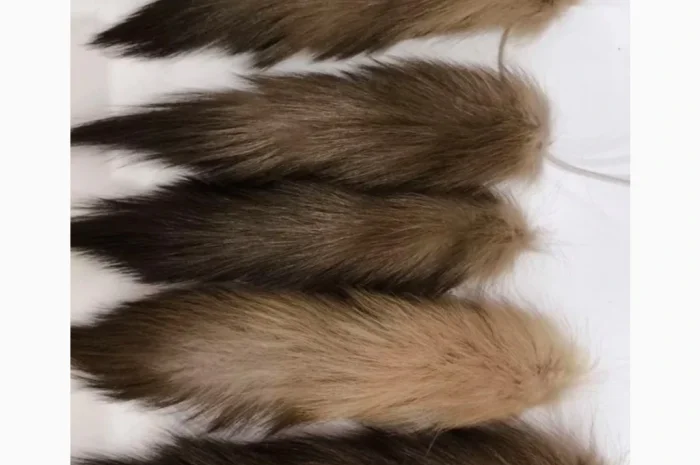 Продажа хвостов куницы, тысячи штук в наличии- фото № 1