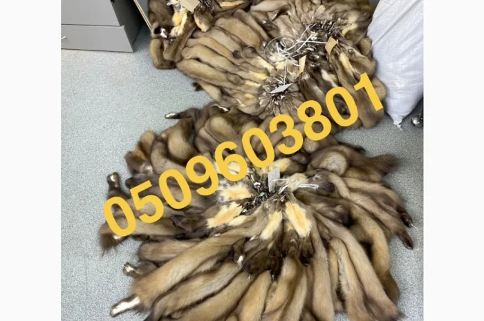 Пропонуються вичинені шкіри куниці- фото № 1