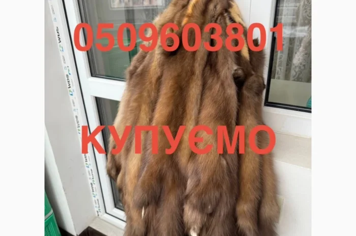 Куплю шкурки куницы, бобра и видры- фото № 1