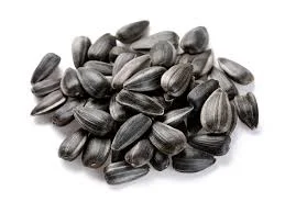 Куплю Соняшник по Україні- фото № 1