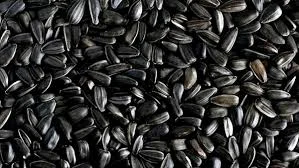 Закупаем семечку Подсолнечника по Украине- фото № 1