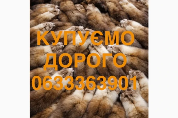 Купуємо шкіри куниці хутро куниць по всій Україні- фото № 1