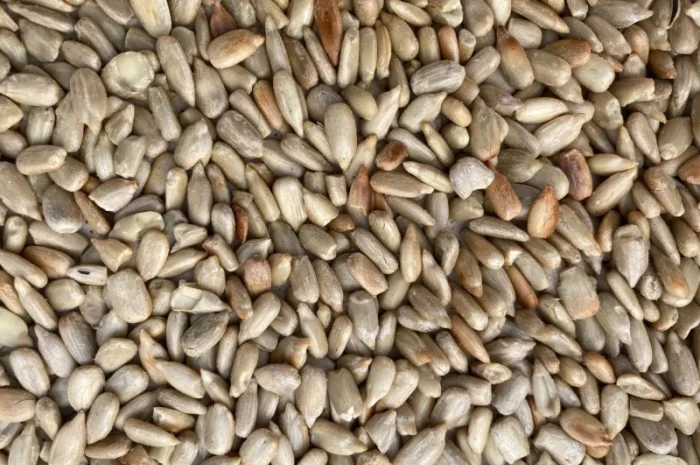 Очищене Ядро Соняшнику- фото № 1