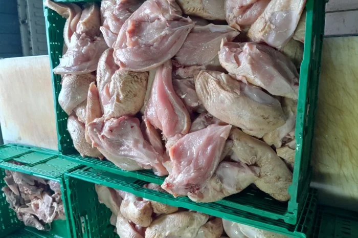 Філе куряче- фото № 1