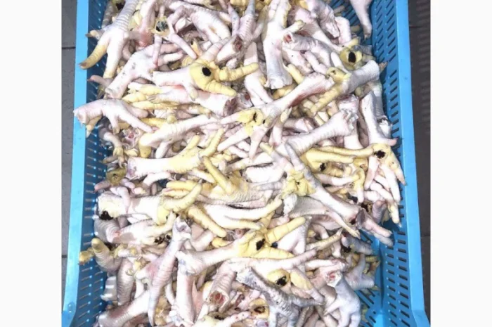 Продам куриные лапы от производителя в Волынской области с 3 тонн. По Украине- фото № 1