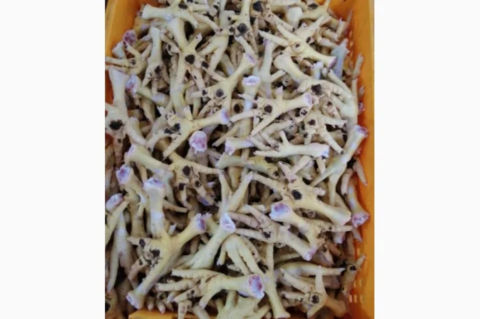 Продам лапки куринные от производителя с 5 тонн- фото № 1