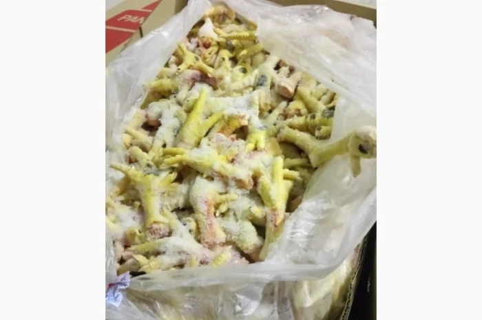 Продам лапки куринные от производителя с 5 тонн- фото № 4