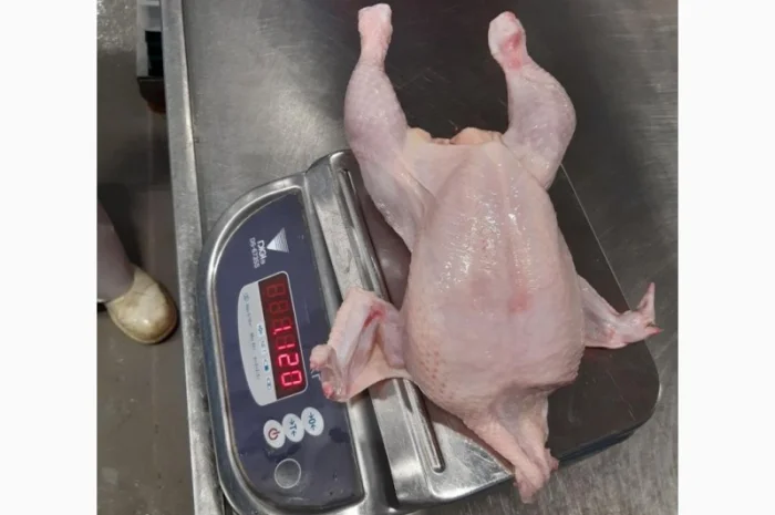 Продам курицу замороженую на экспорт от компании экспортера с 20 тонн- фото № 1