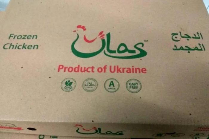 Продам курицу замороженую на экспорт от компании экспортера с 20 тонн- фото № 7