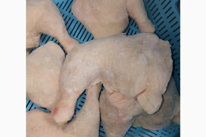 Продам от фирмы импортёра мясной продукций от 20 тонн- фото № 1