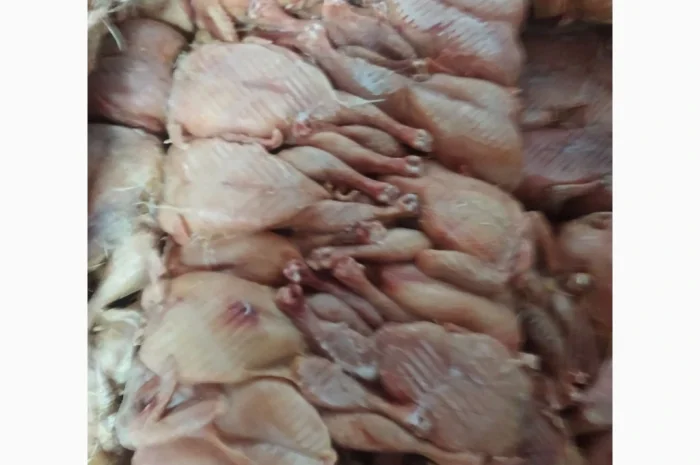 Продам тушку бройлера- фото № 1