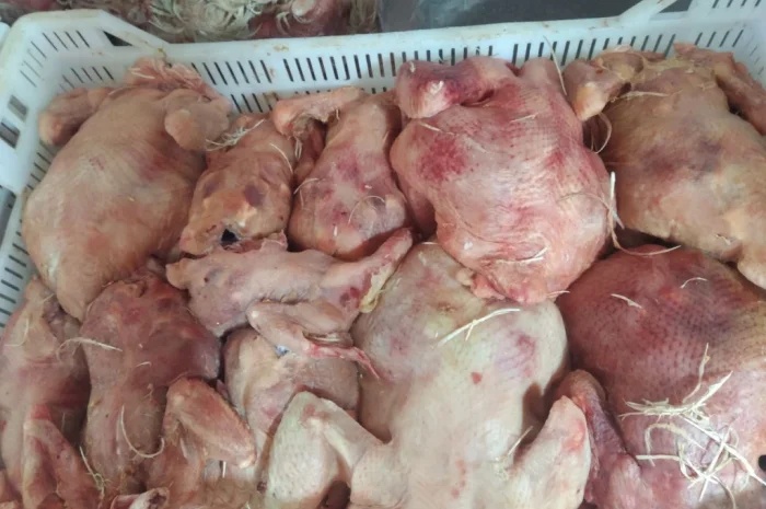 Продам тушку бройлера- фото № 2