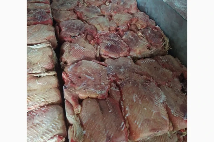 Продам тушку бройлера- фото № 3