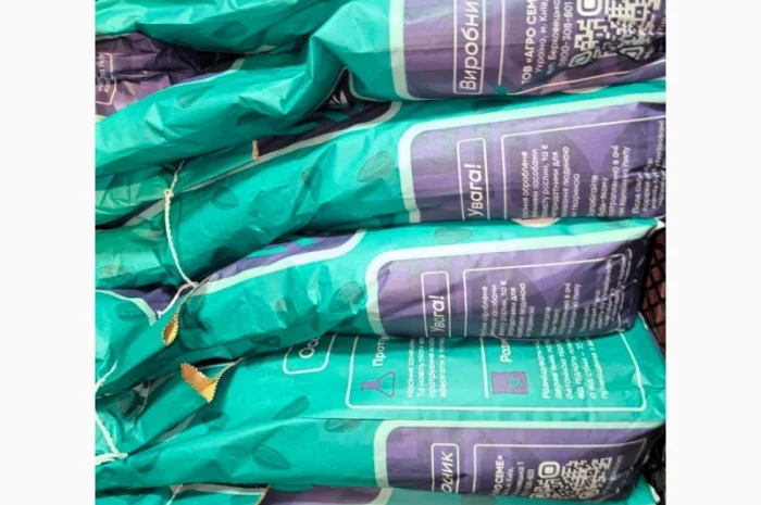 НС Х 6749 соняшник- фото № 1