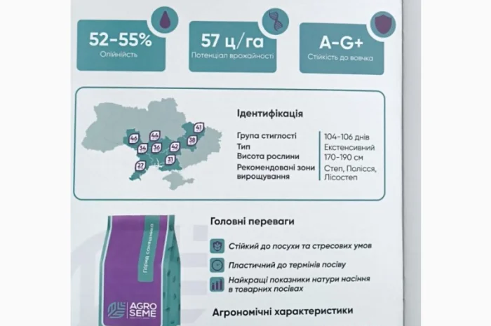 Насіння соняшника НС-Х 8005 7- фото № 1