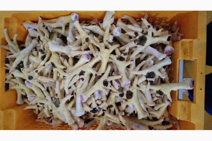 Продам лапки куринные от производителя с 5 тонн по Украине- фото № 2