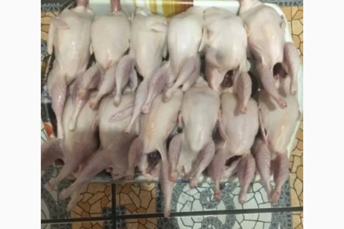 Продается тушка перепелки- фото № 1