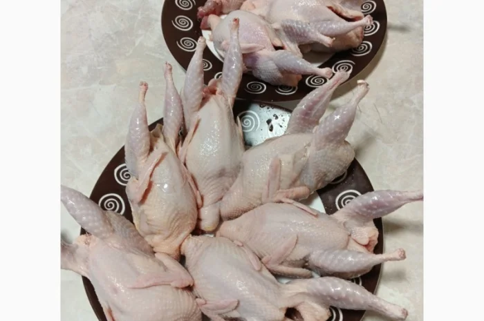Мясо молодых перепелок на продажу- фото № 1
