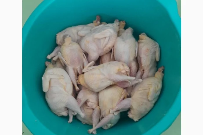 Мясо молодых перепелок на продажу- фото № 3