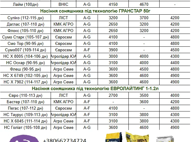 Насіння соняшнику- фото № 1