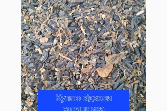 Купимо отходи соняшника- фото № 1