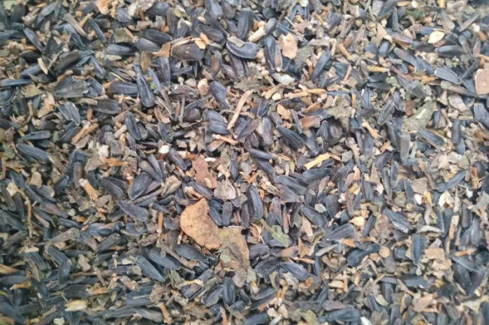 Купимо отходи соняшника- фото № 2