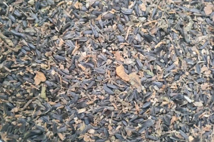 Купимо отходи соняшника- фото № 3