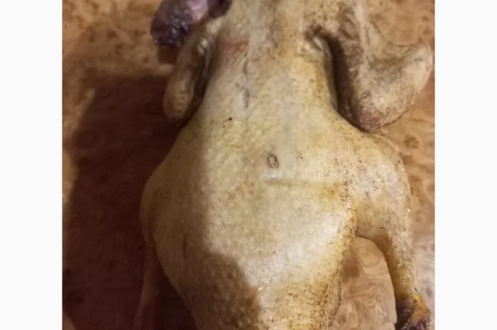 Продаются тушки домашних уток- фото № 3