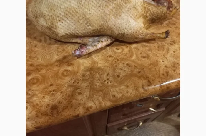 Продаются тушки домашних уток- фото № 4