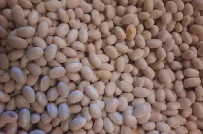 Продаж високоякісної квасолі- фото № 1