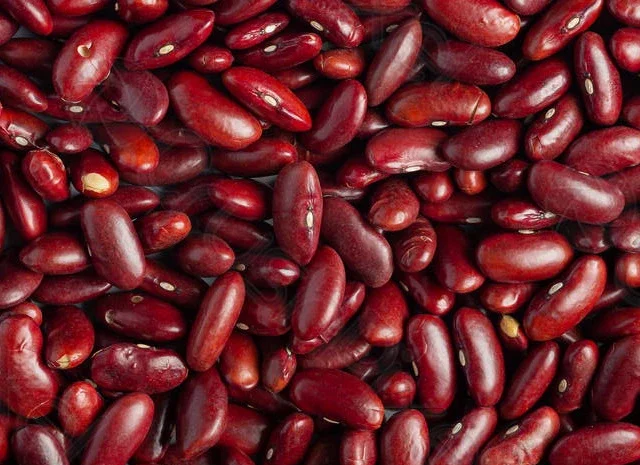 Квасоля від виробника - широкий вибір сортів- фото № 1