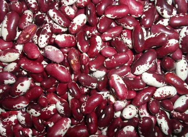 Продажа фасоли оптом в Киеве- фото № 1