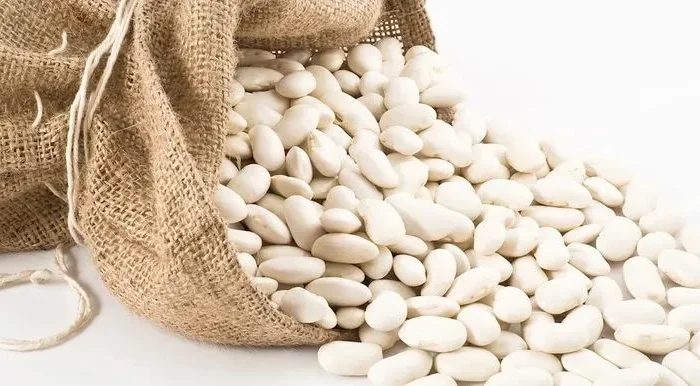 Насіння квасолі Наутіка - І репродукція- фото № 1