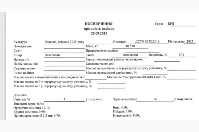 Продамо квасолю білу врожаю 2025 року- фото № 3