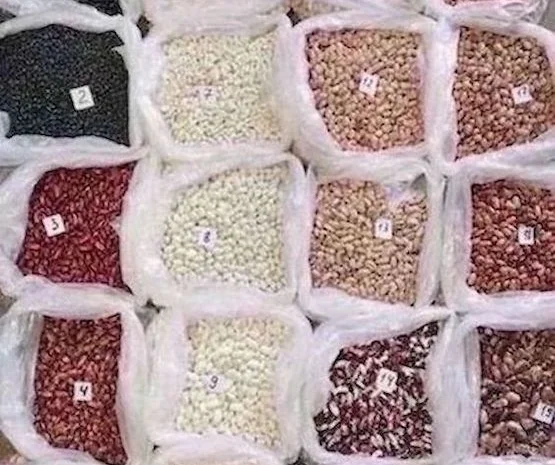 Квасоля в асортименті. Відвантаження від 5 тонн- фото № 1