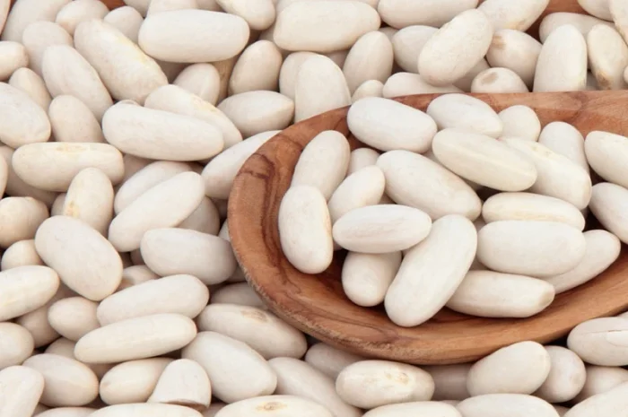 Квасоля різних сортів в наявності- фото № 1