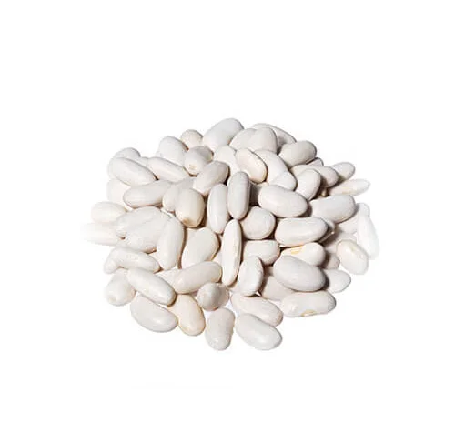 Насіння білої та кольорової квасолі в асортименті- фото № 1