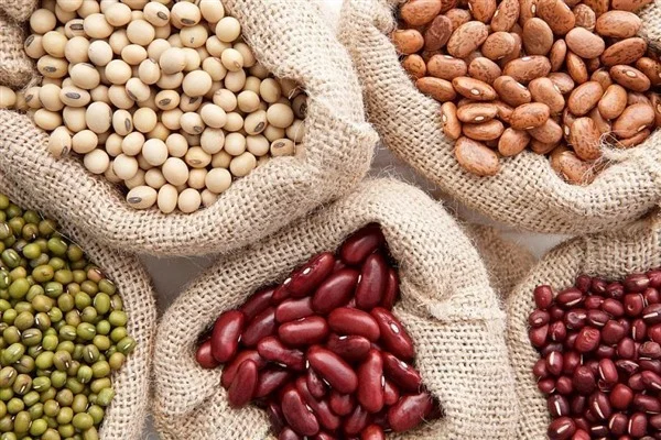 Сортова квасоля. Ліма- фото № 1