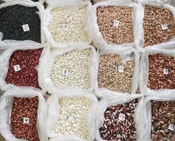 Квасоля на продаж. 20 сортів квасолі в асортимені- фото № 1