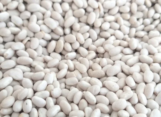 Квасоля: Ліма- фото № 1