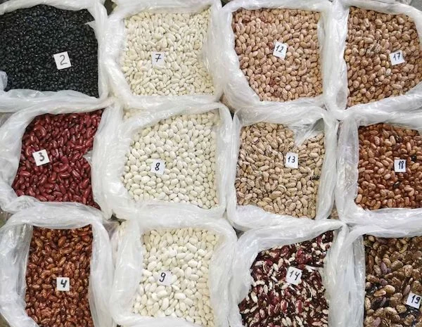 Оптовий продаж квасолі з доставкою- фото № 1